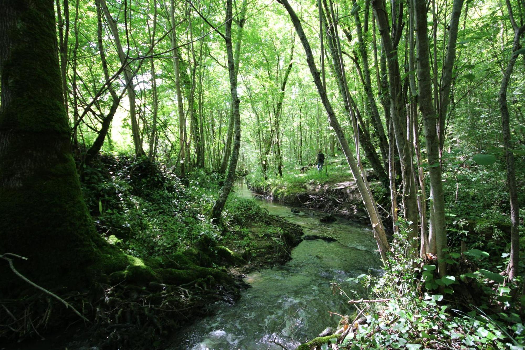 Chambre D'Hotes Cugnac Sainte-Sabine-Born Bagian luar foto